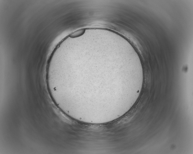 X0000116861480201002021056