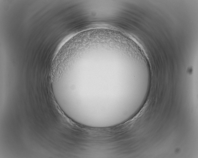 X0000116861481201002021056