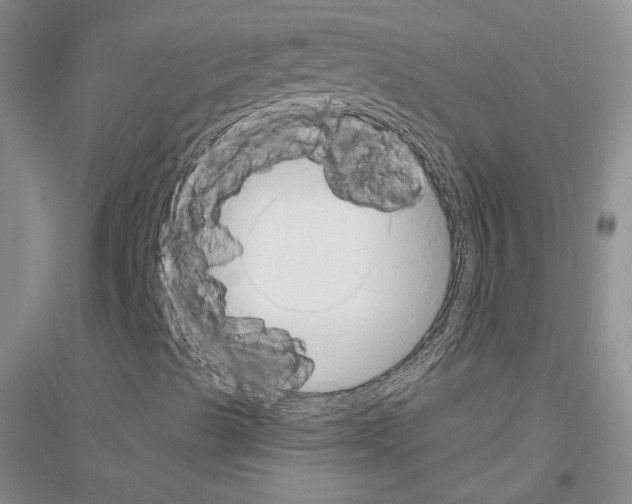 X0000116861489201002021055