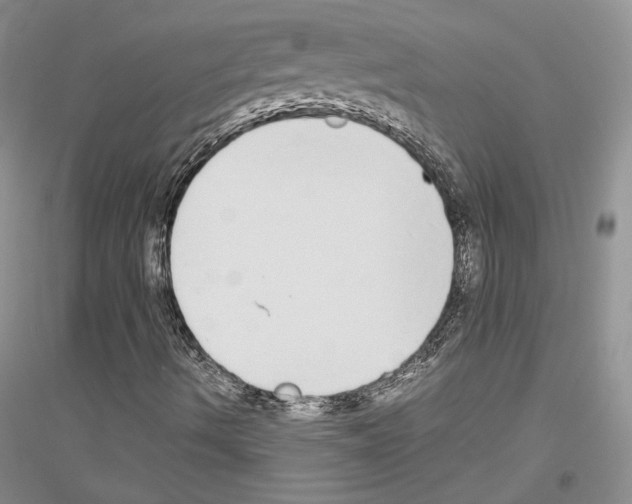 X0000116861490201002021055