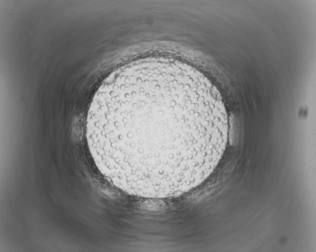 X0000116861491201002021055