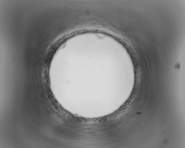 X0000116861494201002021055