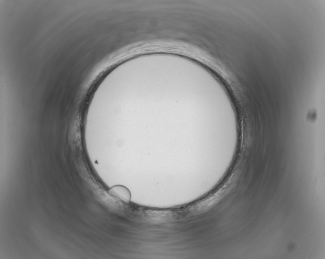 X0000116861498201002021055