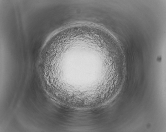 X0000116861501201002021055