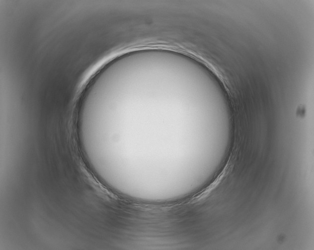 X0000116861502201002021055