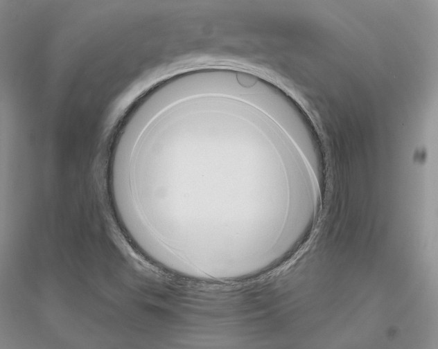 X0000116861503201002021055