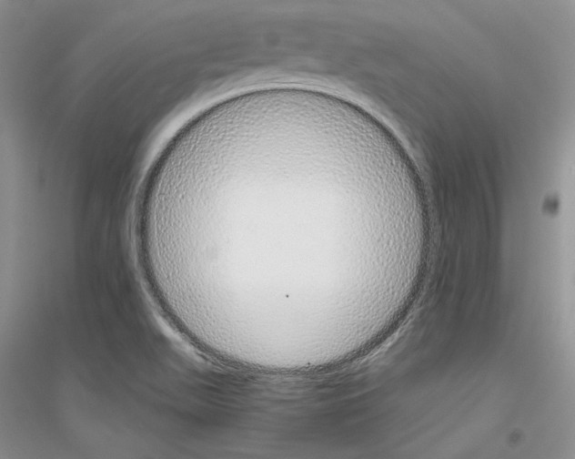 X0000116861511201002021055