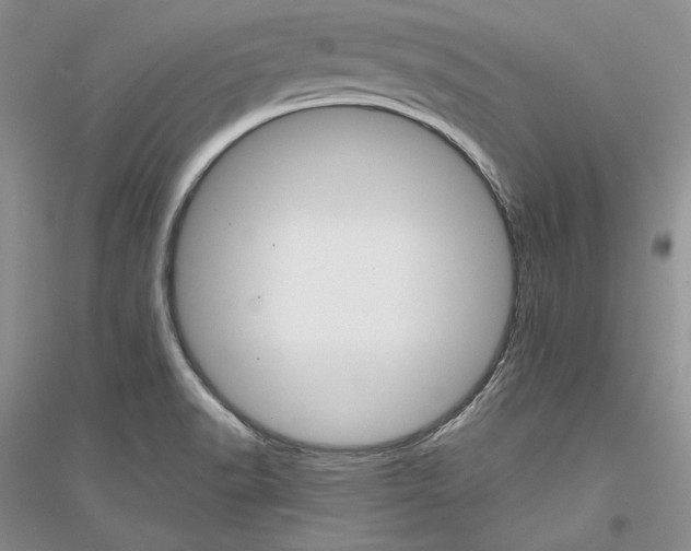 X0000116861518201002021055