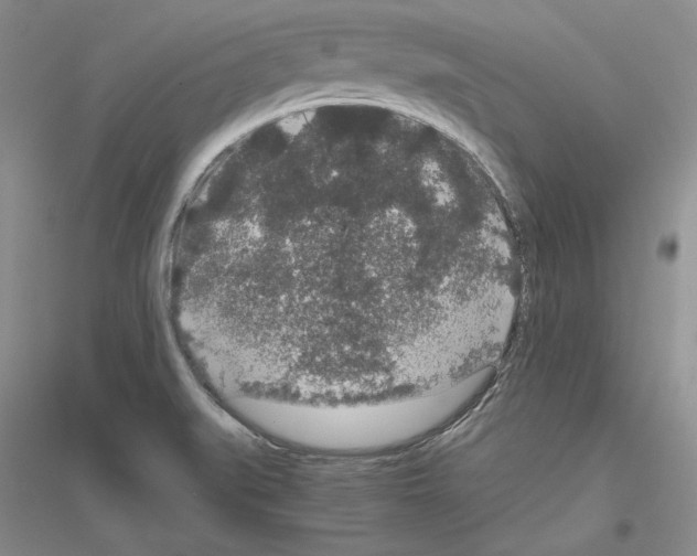 X0000116861519201002021055