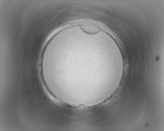 X0000116861523201002021055