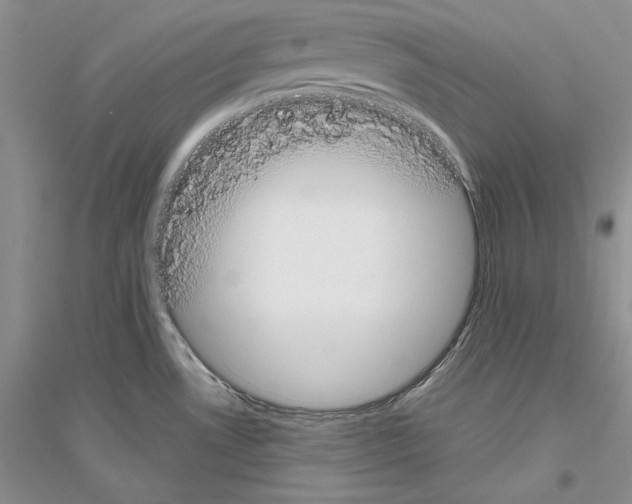 X0000116861530201002021056