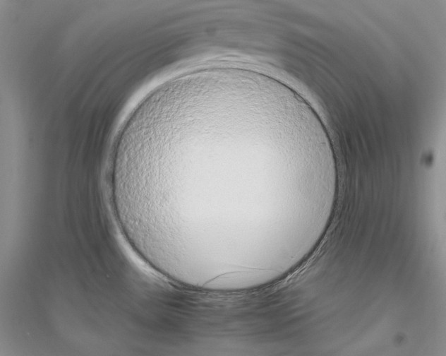 X0000116861531201002021056