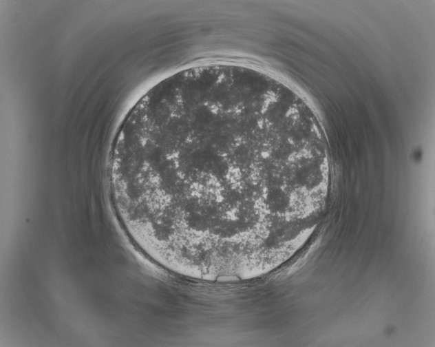 X0000116861533201002021056