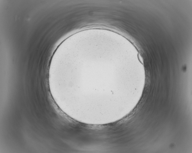 X0000116861534201002021056