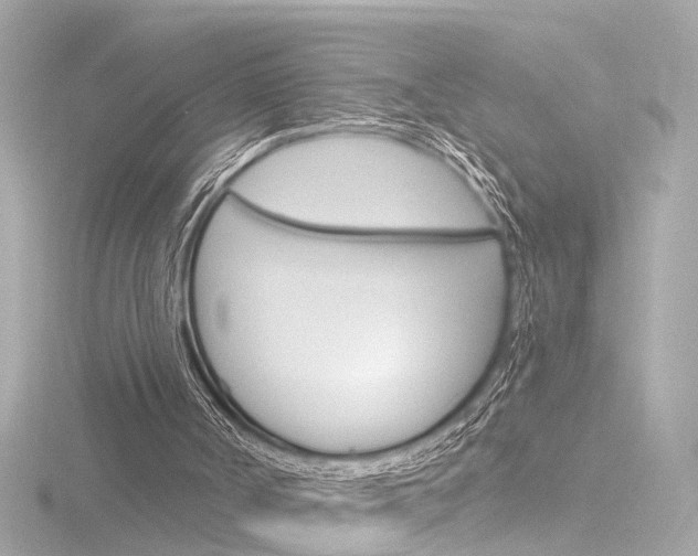 X0000116870002200912221011