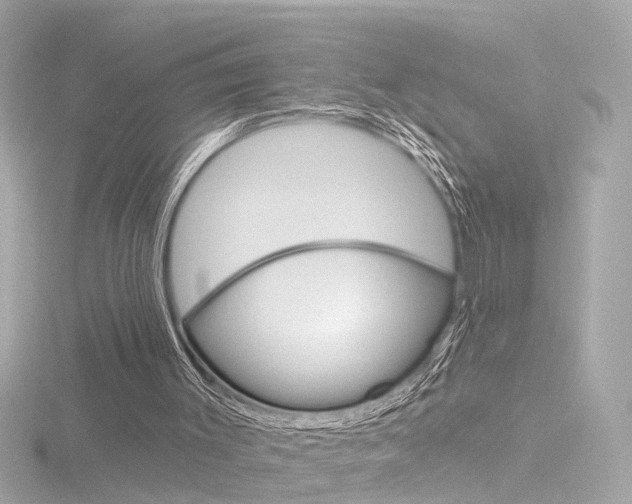 X0000116870003200912221011