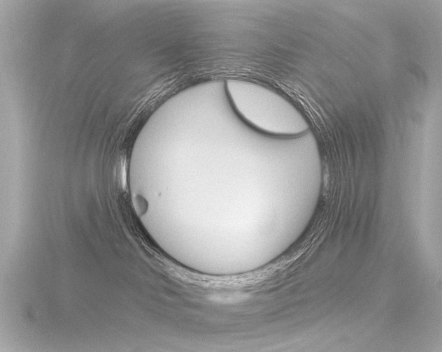 X0000116870046200912221010