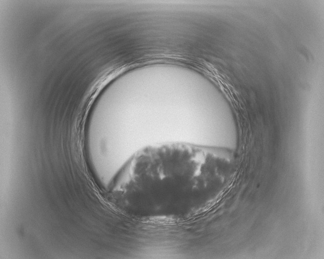 X0000116870050200912221010