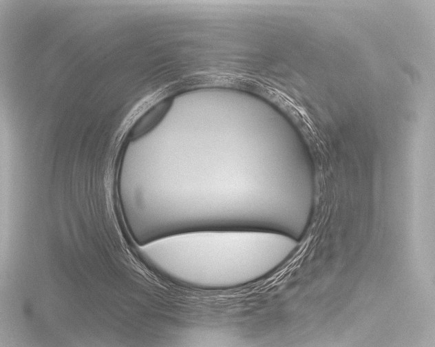 X0000116870051200912221010