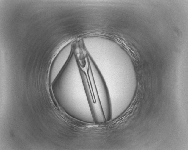 X0000116870052200912221010