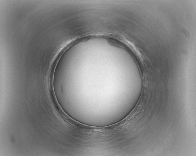 X0000116870060200912221010