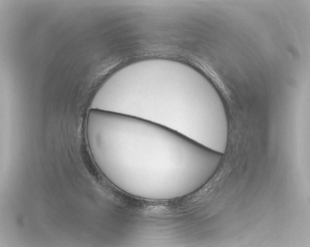 X0000116870066200912221010