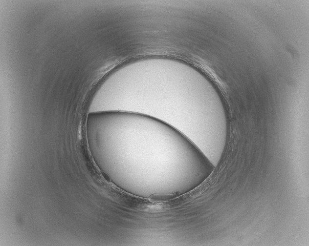 X0000116870068200912221010
