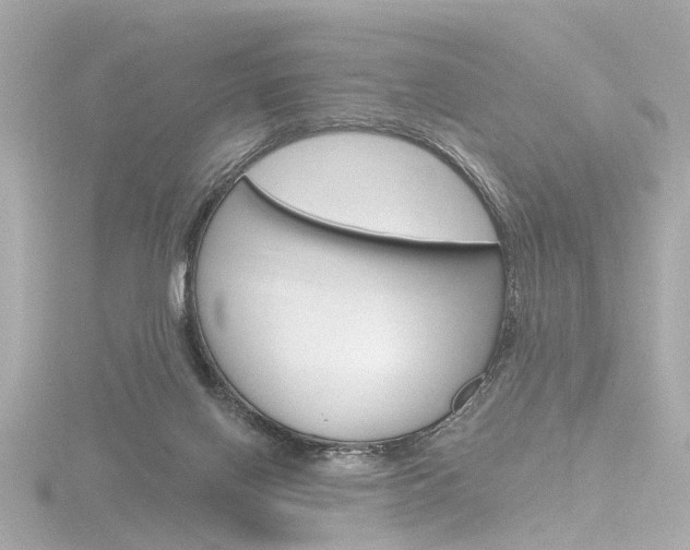 X0000116870070200912221010