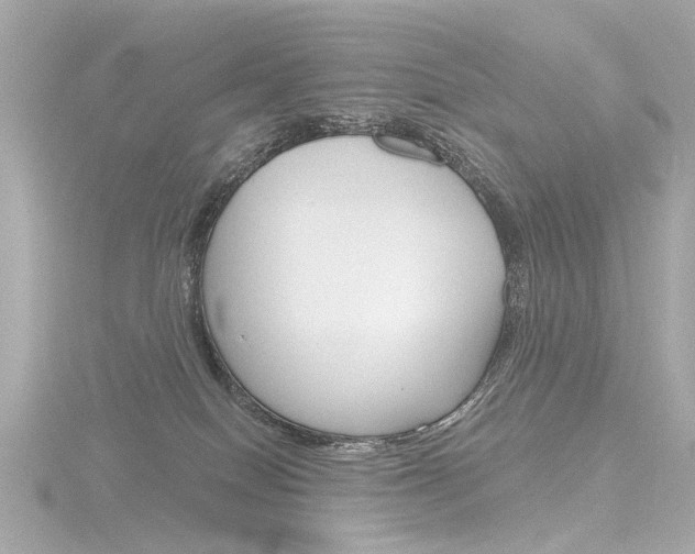 X0000116870086200912221010