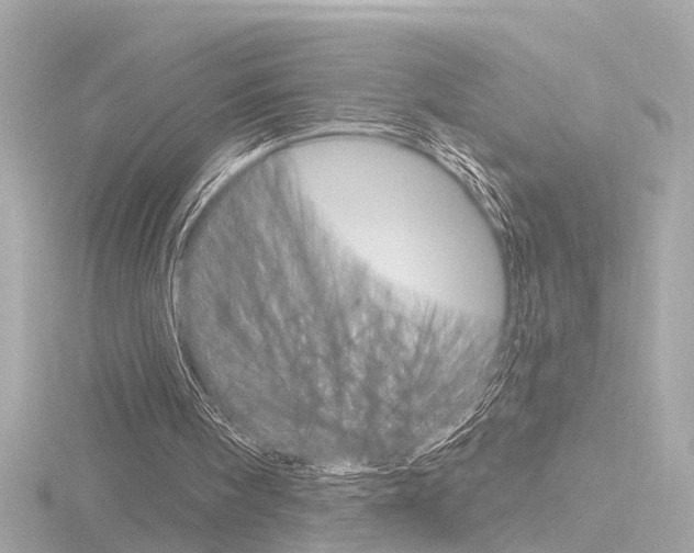 X0000116870098200912221010