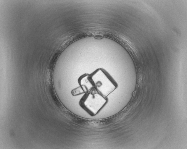 X0000116870121200912221009