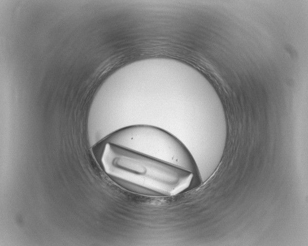 X0000116870124200912221009