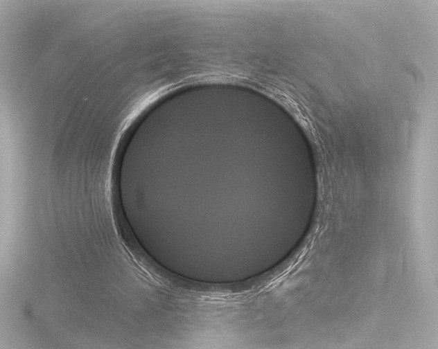 X0000116870196200912221008