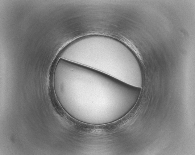 X0000116870204200912221008