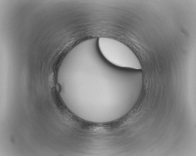 X0000116870224200912221008