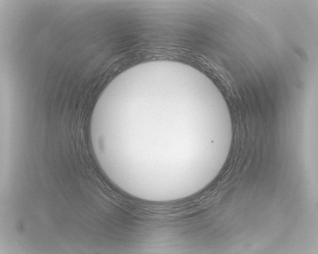 X0000116870225200912221008