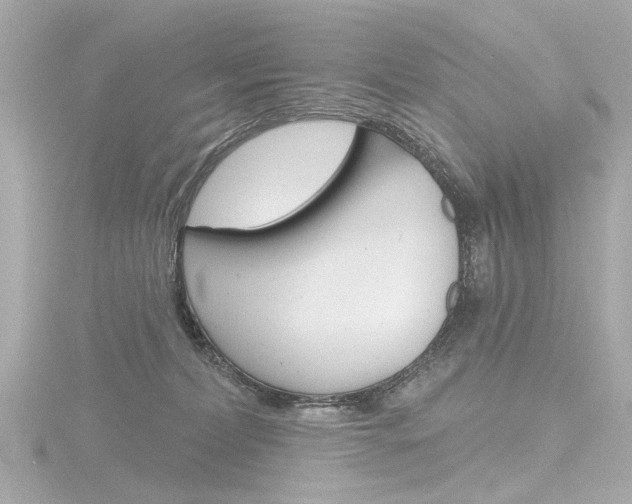X0000116870228200912221008