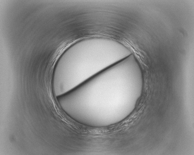 X0000116870241200912221007