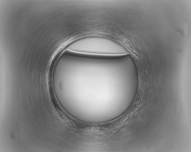 X0000116870244200912221007