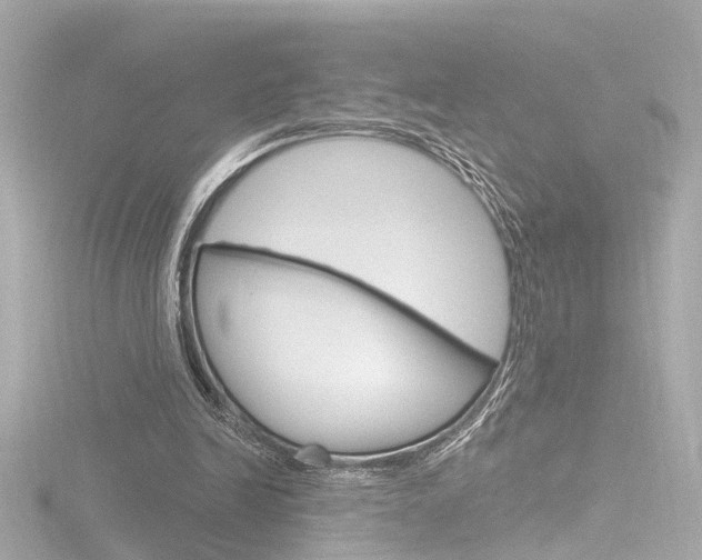 X0000116870246200912221007