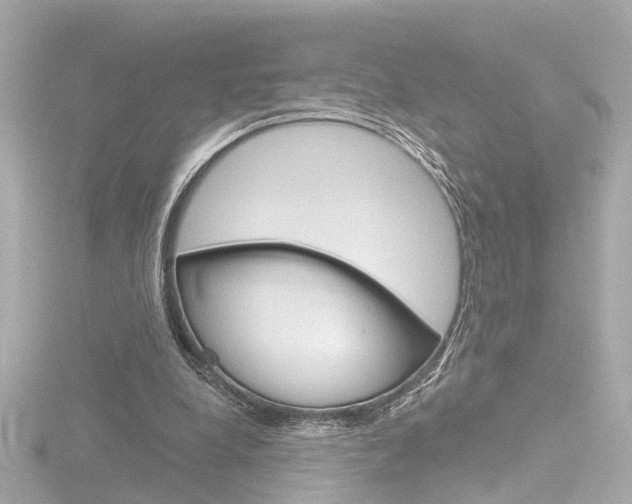 X0000116870248200912221007