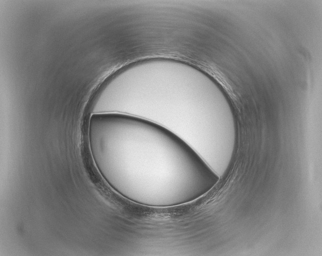 X0000116870252200912221007