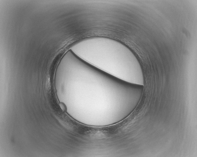 X0000116870254200912221007
