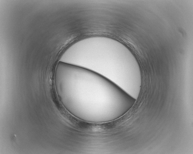 X0000116870264200912221008