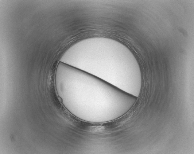 X0000116870266200912221008
