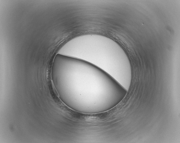 X0000116870268200912221008