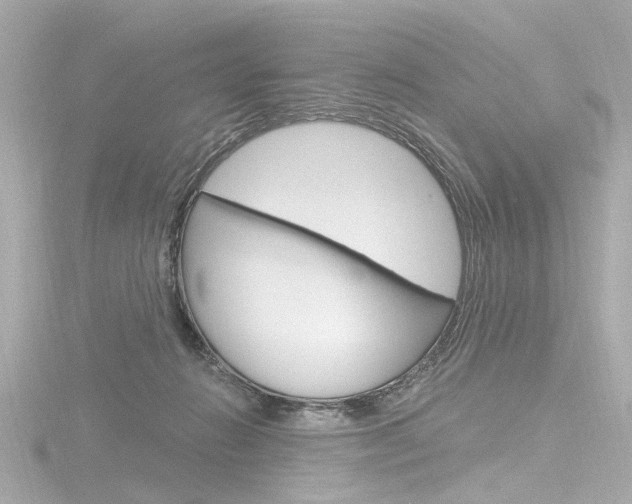 X0000116870270200912221008