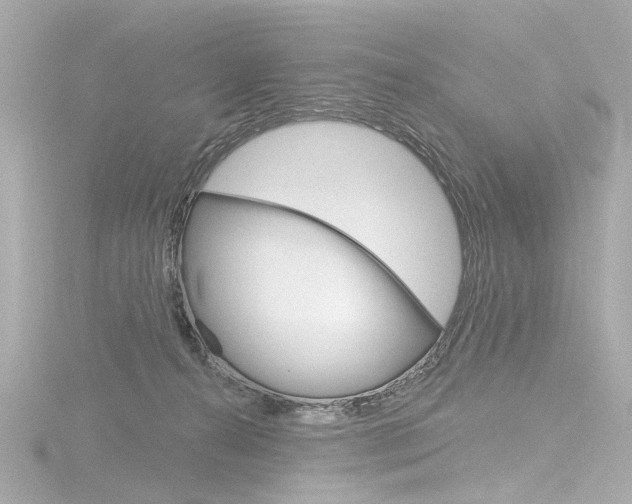X0000116870272200912221008
