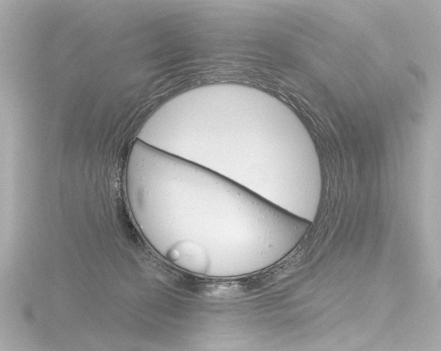 X0000116870274200912221008