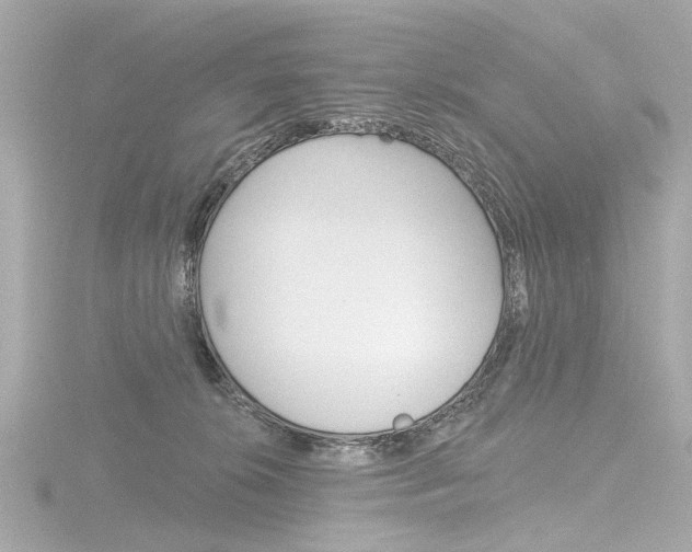X0000116870276200912221008